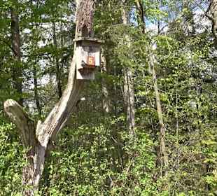 Naturerlebnisweg des NABU-Metzingen