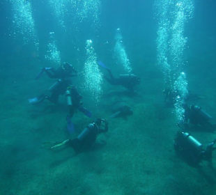 Massentourismus unter Wasser