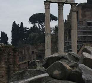Tempel des Castor & Pollux