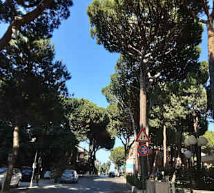 Stadtrundgang Milano Marittima