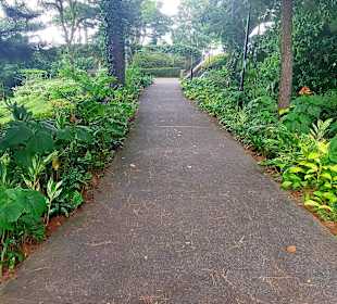 Mount Faber Point