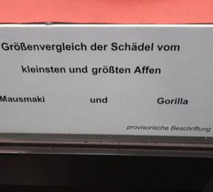 Zoologisches Museum