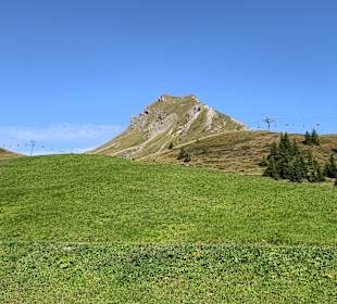 Damülser Mittagsspitze