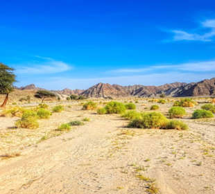 Landschaft