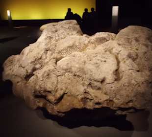 Schöne Ausstellungsstücke