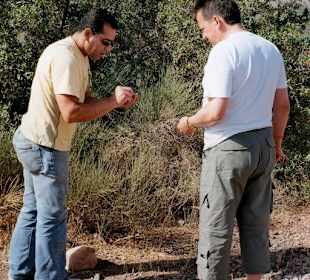 auf den spuren von argana öl