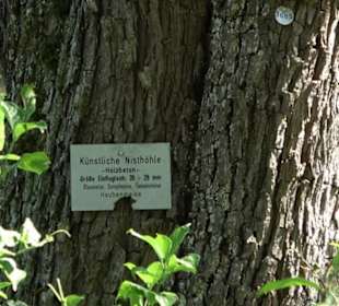 Eduard Lucas Musterobstgarten Mähringen