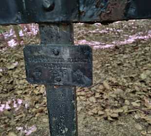 Wandern Friedrichroda