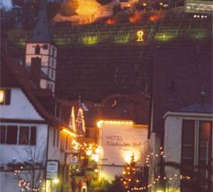Blick von der Altstadt auf die Clingenburg