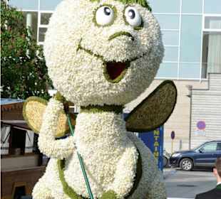 © Narzissenfestverein/ Nils Kahle