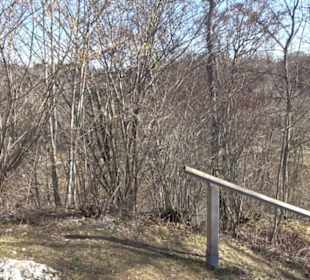 Burgruine Hohenstein