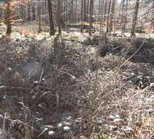 Historischer Rundwanderweg Aichtal