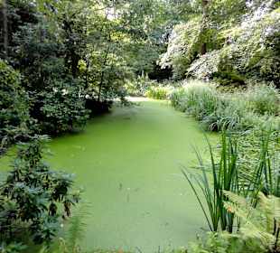 Spaziergang durch Thieles Garten