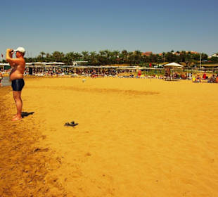 Strandabschnitt Gündogdu