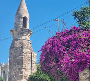 Sonstiges