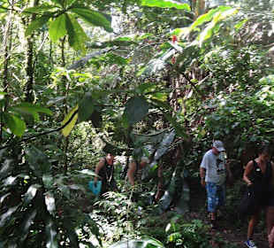 Auf der Perlenkette durch den Dschungel