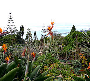 Botanischer Garten