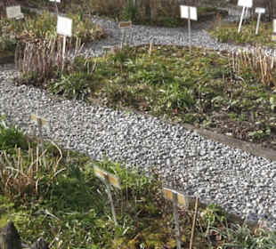 Gewürz- und Kräutergarten