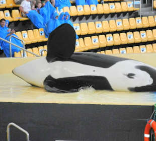 Hier gibt es was zu essen