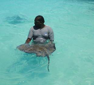 Stingray City