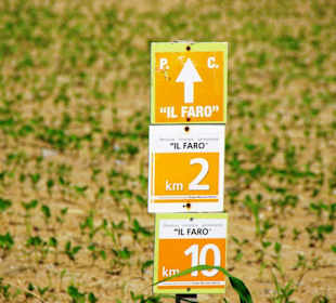 Naturschutzgebiet dei Pini