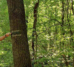 Diesen Hinweisen muss man folgen