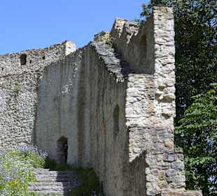 Burgruine