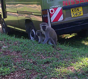 Pořád mě pronásledovala