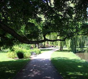 Eindrücke im Schlosspark