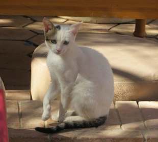 Safari Land Badawya Hurghada