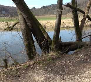Fürstlicher Park Inzigkofen