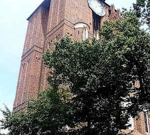 Bazylika Katedralna śś. Janów