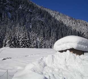 Tiefverschneit, die Rehe im Hintergrund