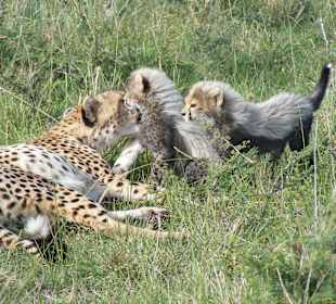 Sind die Kleinen nicht niedlich