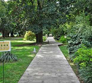Weg durch den Jardin des Plantes