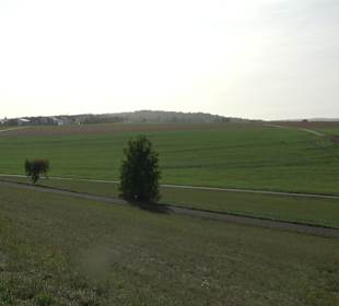 Wanderung zur Burgruine Liebenau