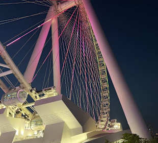 Riesenrad Dubai