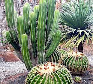 Botanischer Garten Viveiro