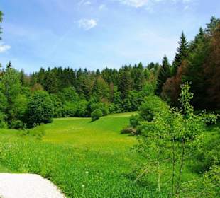Wanderung zum Bärenfels