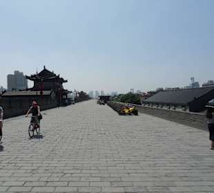 Wypożyczalni rowerów do jazdy po murach