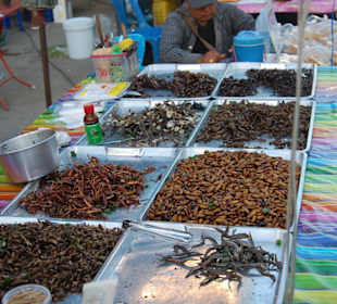 Wunderbare Leckereien