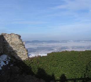 Zamek chojnik, widok z wieży