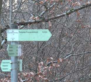 Wanderung rund um den Ochsenweiher