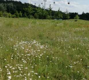 Blick auf die Seilbahn