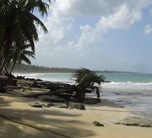 Strand der Laguna del Limon