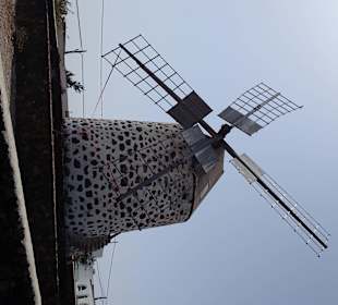 Tiscamanita, zum Mühlenmuseum