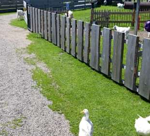 Im Gänsemarsch durch die Anlage