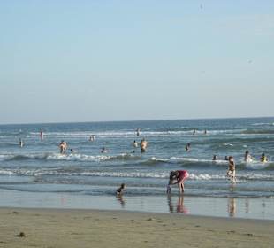 Plaz