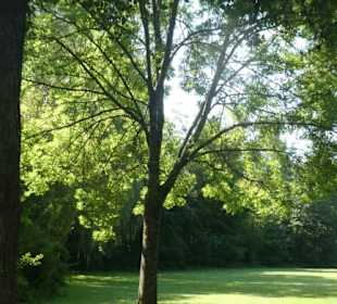 Unterwegs im Kurpark von Bad Kötzting