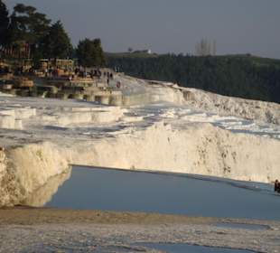 Langsam werden sie weiss
